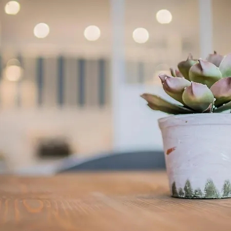 Estudio En Zona Centro De Granada